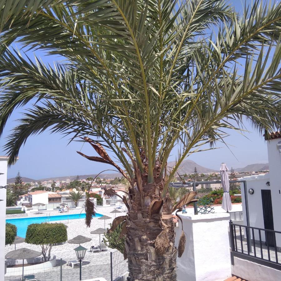 Apartamento Ama Tenerife Grande Terraza อาโรนา ภายนอก รูปภาพ